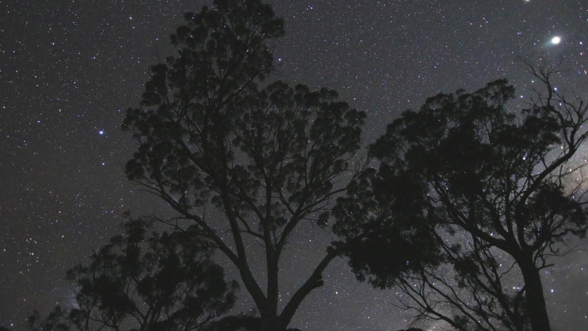 Media Release - Shire of Narrogin, an Astrotourism Town acknowledges Dark Sky Week 2024