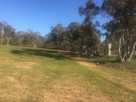 Media Release - Natural Burials