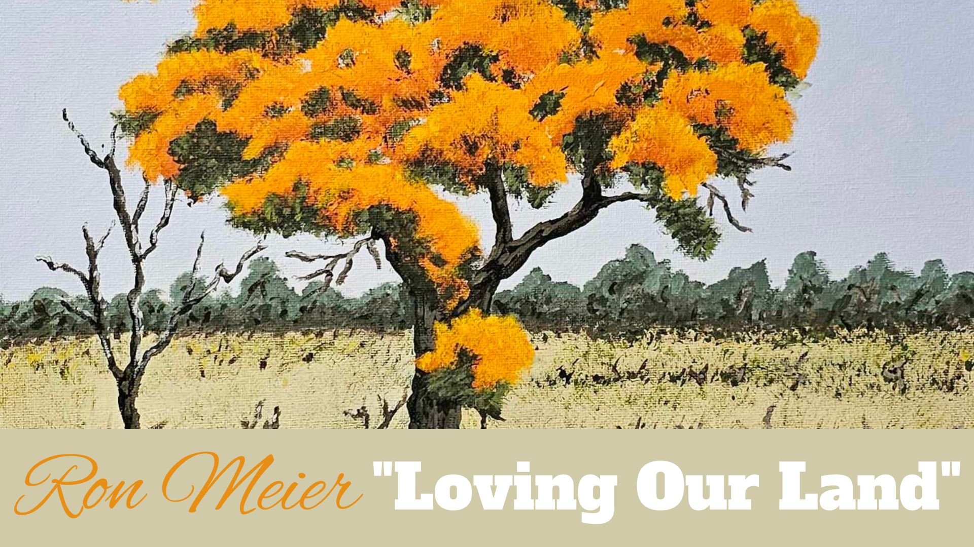 Exhibition: Loving our Land